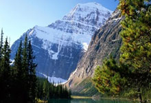 辜梓豪首夺中国围棋西南棋王赛冠军.